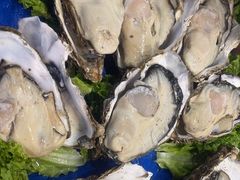 -乔家小院•非遗驴肉•本地小海鲜(滨河路店)