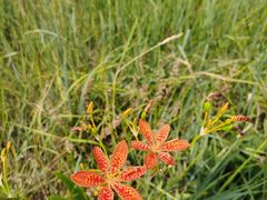 -敕勒川草原文化旅游区