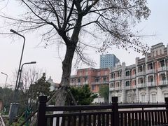 -武汉园博园(武汉自然博物馆)