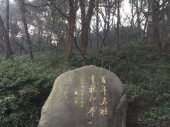 -杭州西湖风景名胜区-钱塘苏小小之墓