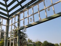 -祥源·阜阳生态乐园