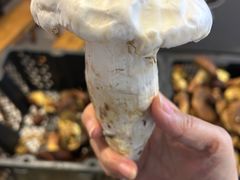 -草墩罗非鱼庄•野生菌•腊排骨(七星街上段店)