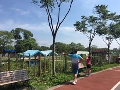 -上海长兴岛郊野公园