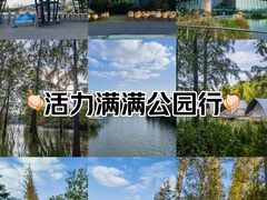 -上海长兴岛郊野公园