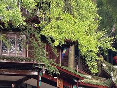 -青城山