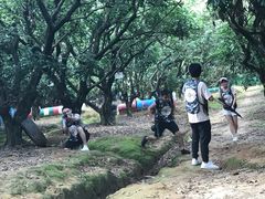 -老虎沟生态农场