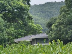 -西湖风景区十里琅珰-五云山