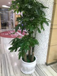 -重庆联合丽格第五医疗美容医院