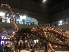 -自贡恐龙博物馆
