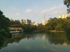 -荔枝公园(福田区)