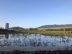-光明小镇欢乐田园