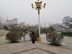 -西清公园