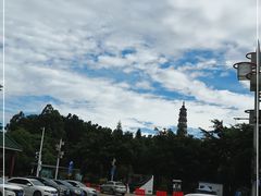-顺峰山公园