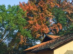 -韶山毛泽东同志故居