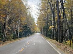 -五营红松林海景区