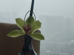 -悦厅·下午茶(杭州柏悦酒店)