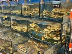 水产区-渔中舟海鲜大排档(普陀沈家门店)