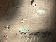 -汉景帝阳陵博物院