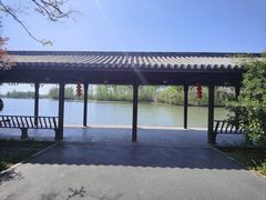 -溱湖国家湿地公园