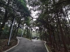 -缙云山景区