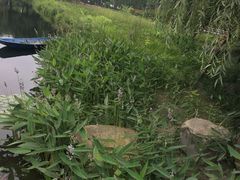 -华为成都研究所-U1