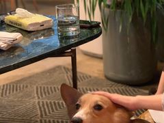 -the rug 飞毯 (朝阳公园店)