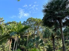 -深圳仙湖植物园