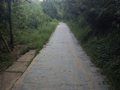 -青龙山国家森林公园