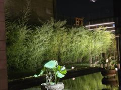 -曲水兰亭(北京四惠店)