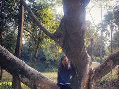 -华南国家植物园-售票处