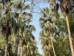 -中国科学院华南植物园