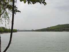-羊山湖公园