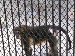 -广东茂名森林公园