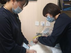 -喜多萌中农锦绣动物医院24H·猫科·牙科MRI·CT