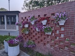 -国家植物园