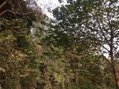 -火炉山森林公园