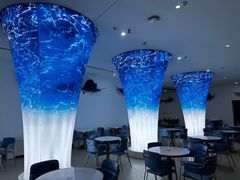 -深海中餐厅(国家海洋博物馆店)