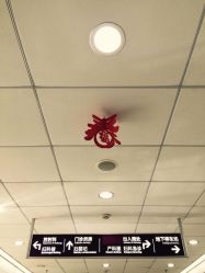 -复旦大学附属妇产科医院(杨浦院区)