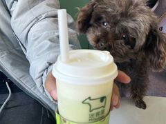 -迷客夏Milksha(合肥步行街首店)