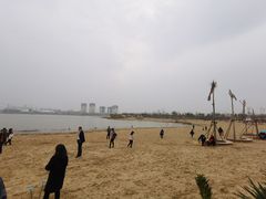 -九龙湖公园