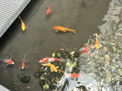 -绿房子方寸咖啡(星海名城店)