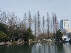 -包公祠
