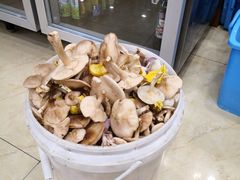 -小城家宴