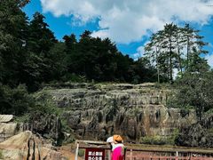 -黎坪国家森林公园