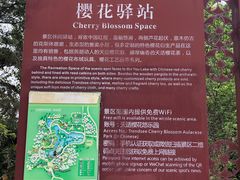 -天适樱花悠乐园