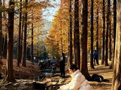 -白水寺森林公园