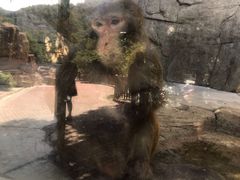 -泉州海丝野生动物世界