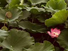 -南通濠河风景名胜区