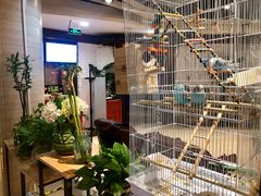 -舌尖上的食缘花园主题餐厅