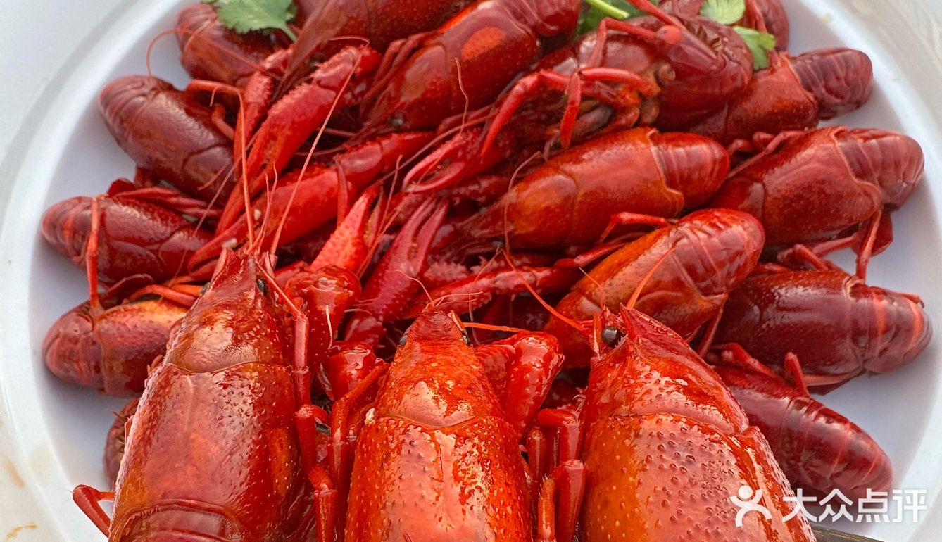 来苏州,花钱蕞值的一笔。。。